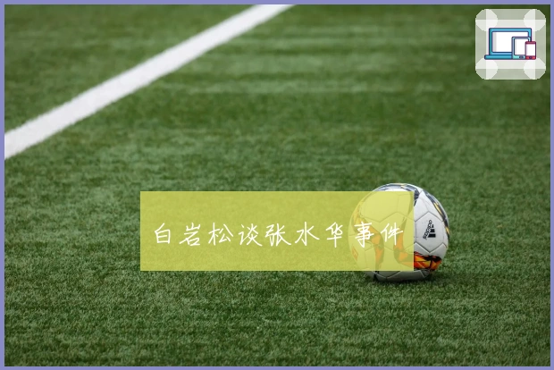 白岩松谈张水华事件