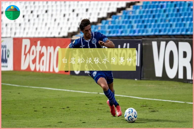 白岩松谈张水华事件